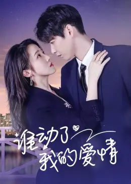 谁动了我的爱情？：一场爆笑浪漫的爱情追逐战