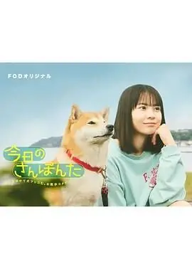 今日份的散步：一部温暖人心的生活哲学电影，让你通过日常散步重新发现生命的宁静与启发